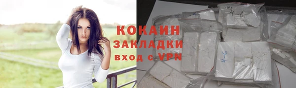 мдпв Туринск