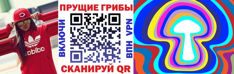 Галлюциногенные грибы ЛСД  Купить где  Нолинск 