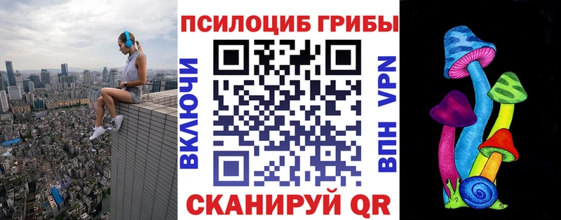Псилоцибиновые грибы Psilocybe Нолинск